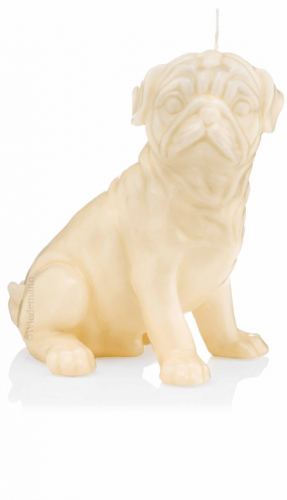 - Kopie - Kopie - Kopie