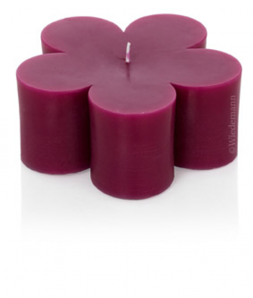 Blüten - Kerzen - Formkerzen - ein wunderschönes Geschenk z.B. zum Valentinstag