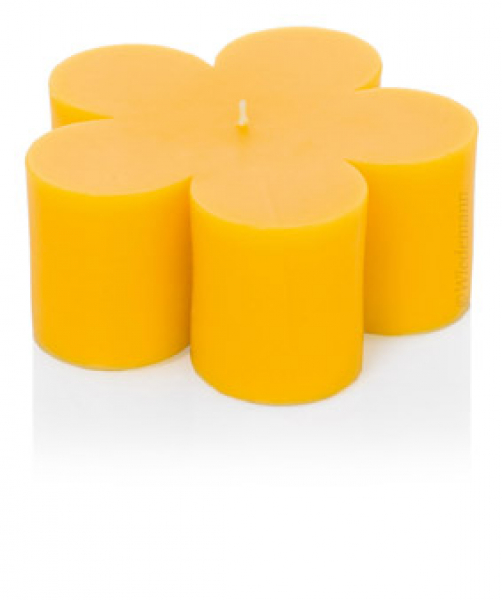 Blüten - Kerzen - Formkerzen - ein wunderschönes Geschenk z.B. zum Valentinstag