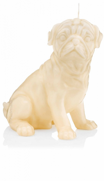 - Kopie - Kopie - Kopie